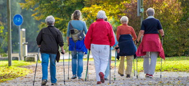 Nordic Walking-Gruppe älterer Damen im Park von hinten fotografiert